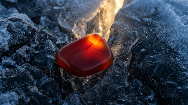 January Crimson Alchemy: Ignition of Dormant Life Force, Overcoming Launch Stagnation, and Root Grounding via Nanhong