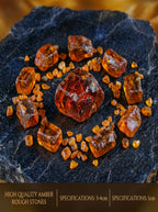 The Solar Time Capsule | Rare Raw Amber Subfossil Stone