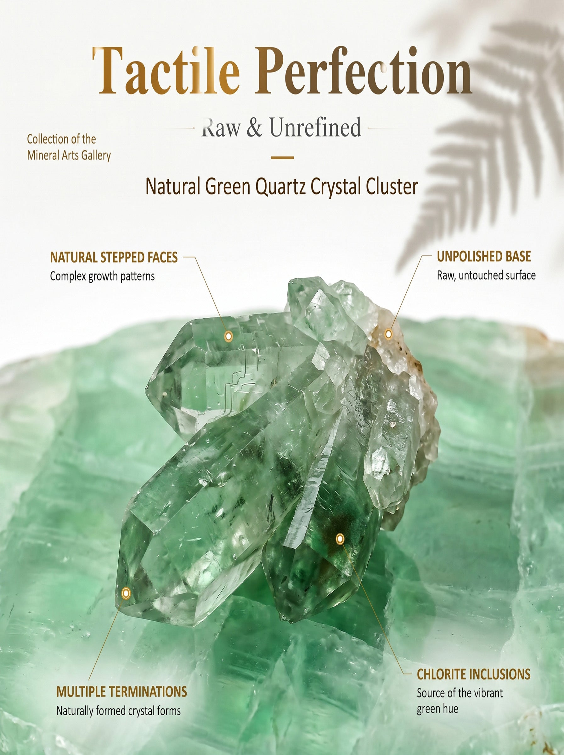 The Abundance Vortex | Rare Raw Green Quartz Specimen