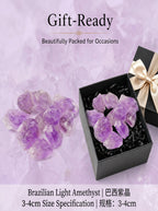 The Higher Heart | Raw Brazilian Light Amethyst Cluster