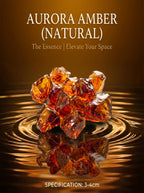 The Solar Time Capsule | Rare Raw Amber Subfossil Stone