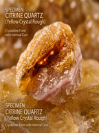 The Cash Flow Magnet | Raw Citrine Wealth Merchant Crystal