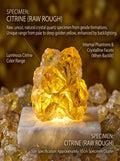 The Cash Flow Magnet | Raw Citrine Wealth Merchant Crystal