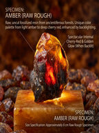 The Solar Time Capsule | Rare Raw Amber Subfossil Stone