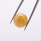 Honey Beeswax Amber: Ancient Warmth & Golden Vitality