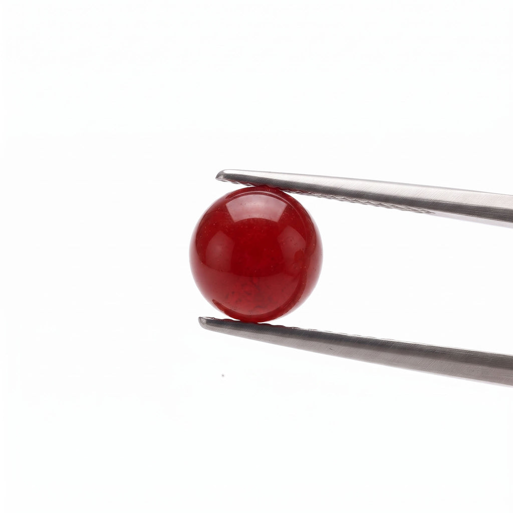 Southern Red Agate & Smoky Quartz: Grounded Prosperity & Inner Strength