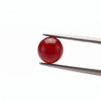 Southern Red Agate & Smoky Quartz: Grounded Prosperity & Inner Strength