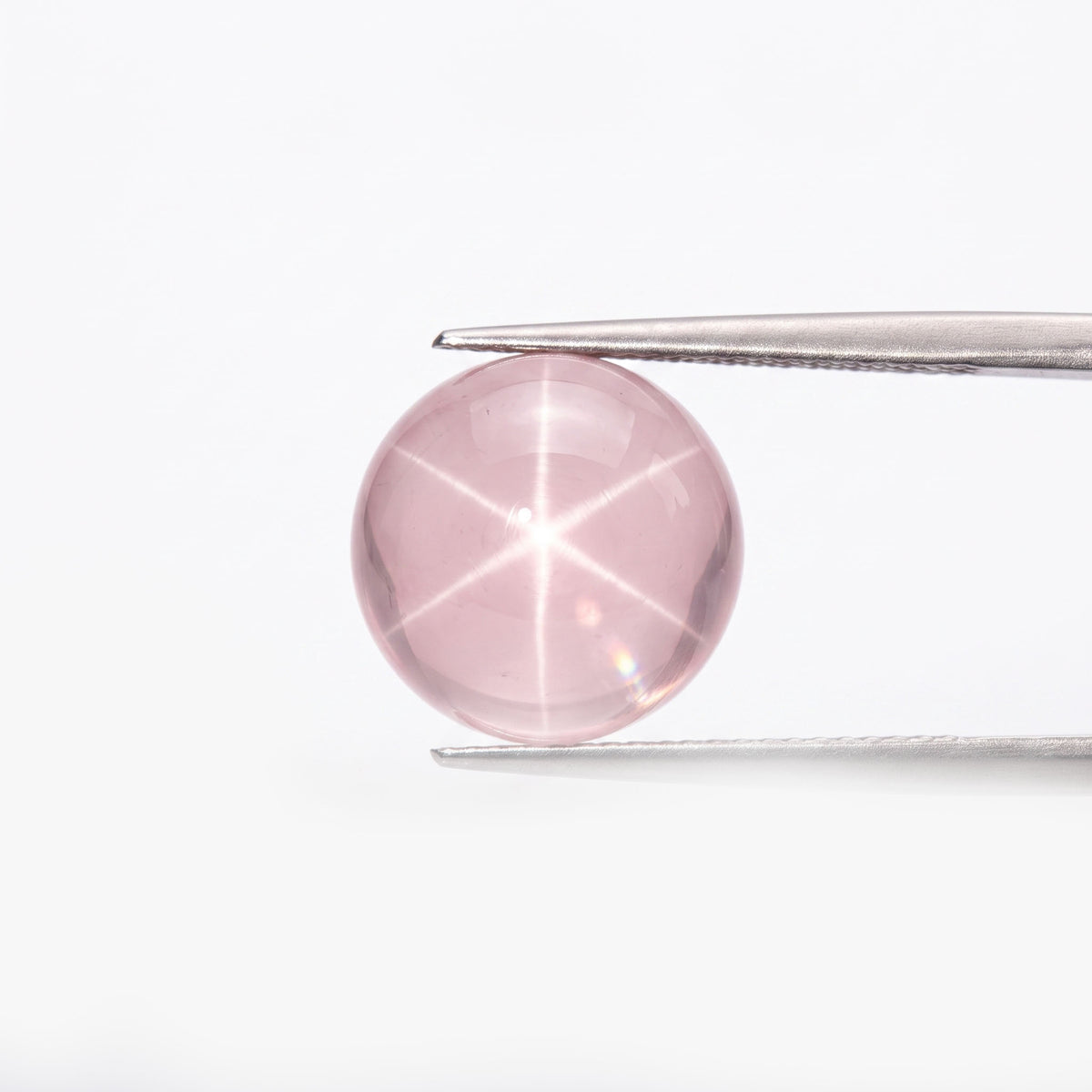 Star Rose Quartz Bracelet | Rare Romance & Divine Light