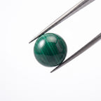 Natural Malachite Bracelet: Protection & Transformation — Gangdishé Peak