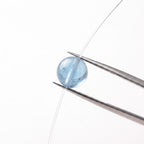 Translucent Jelly Aquamarine: Serene Expression & Ocean Calm